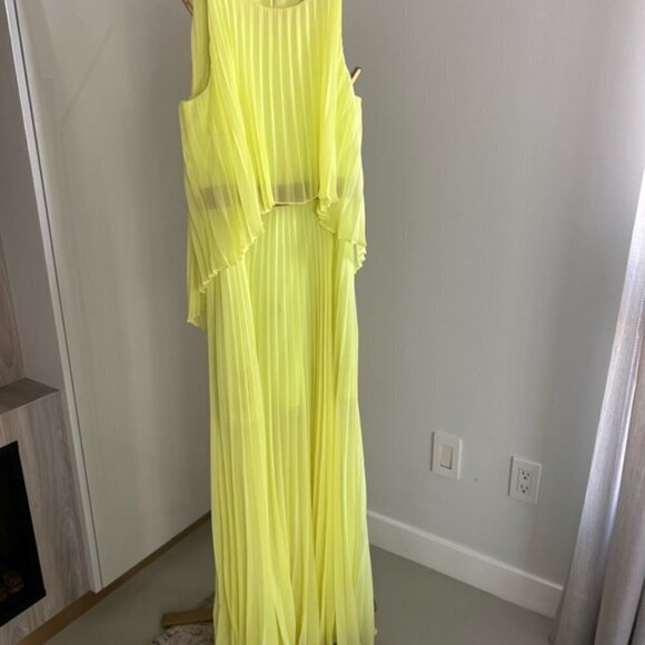 Bcbgmaxazria Shaina Sleeveless Pleated Gown - Picture 11 of 14